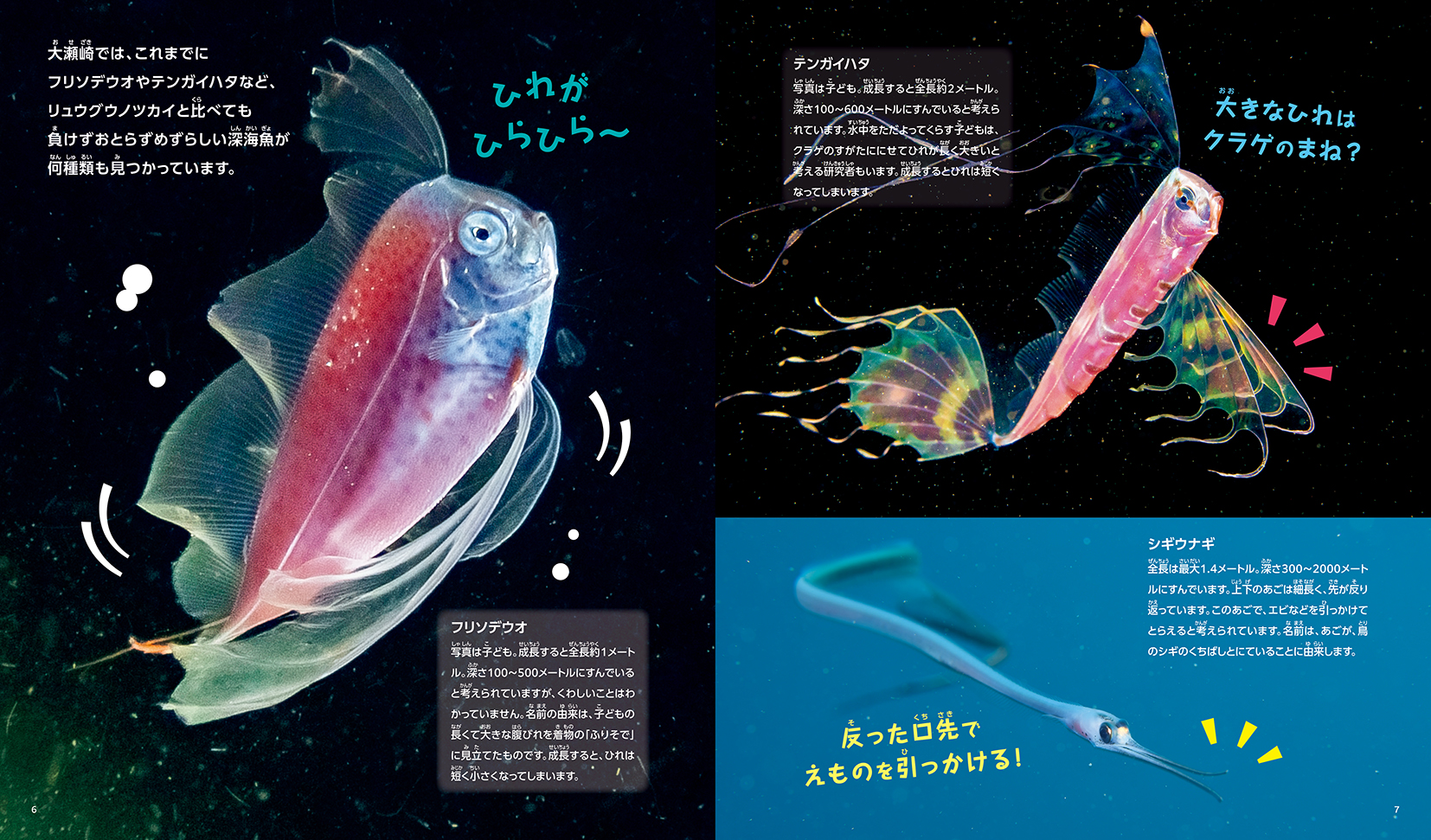 深海魚に会える海｜フレーベル館 出版サイト