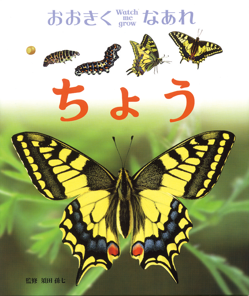 9784577034088_00.jpg